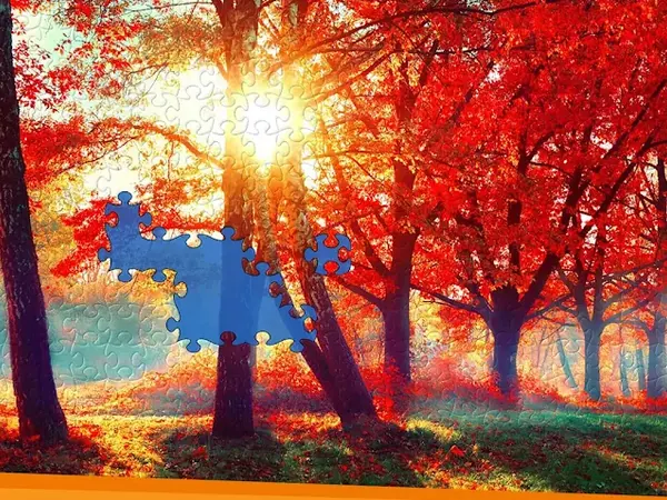 Puzzle autunnale di Jigsaw World quasi completato